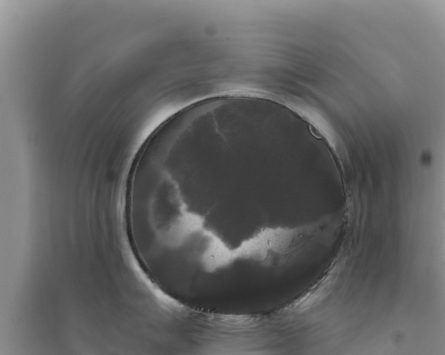 X0000094351007200711091448