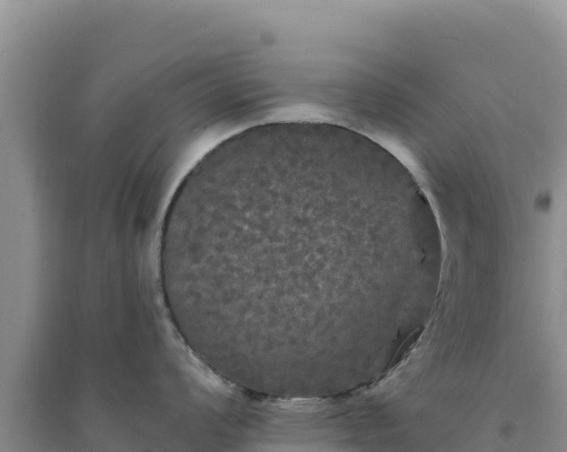 X0000094351008200711091448