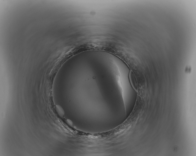 X0000094351009200711091447