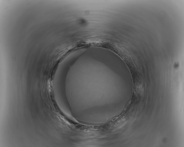 X0000094351010200711091447