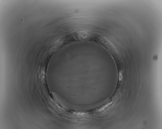 X0000094351011200711091447