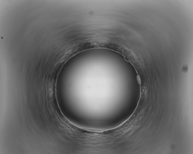 X0000094351012200711091447