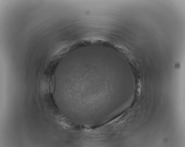 X0000094351014200711091447