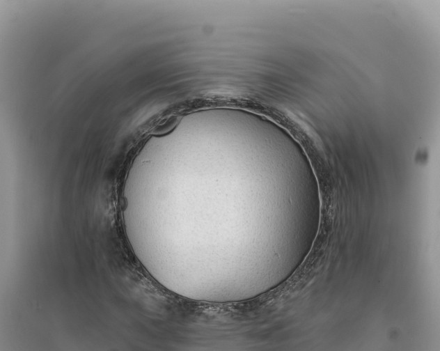 X0000094351015200711091447