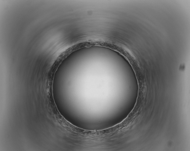 X0000094351016200711091447