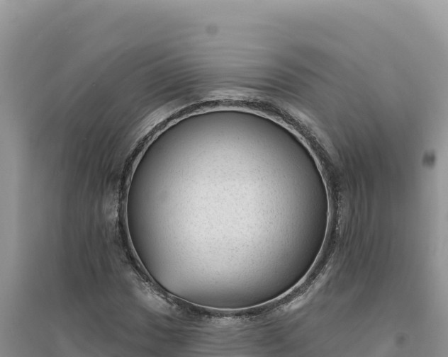 X0000094351017200711091447