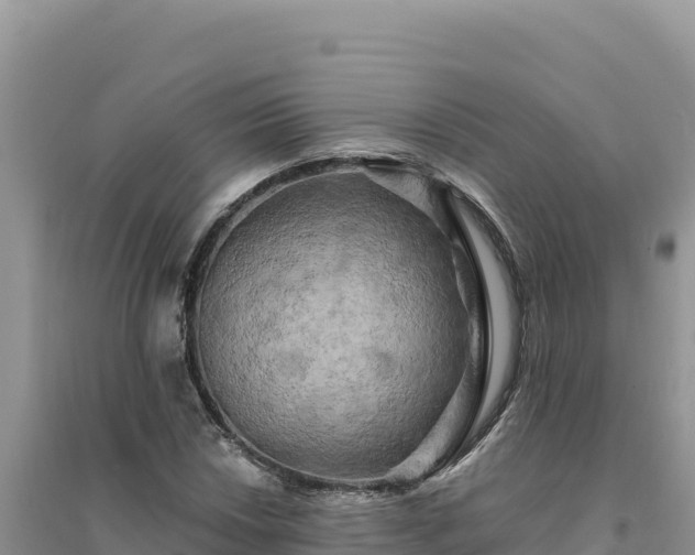 X0000094351018200711091447