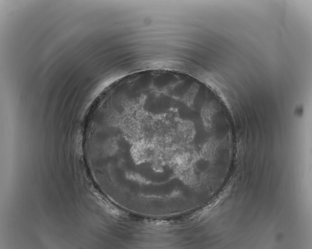 X0000094351019200711091447