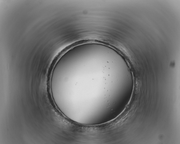 X0000094351020200711091447