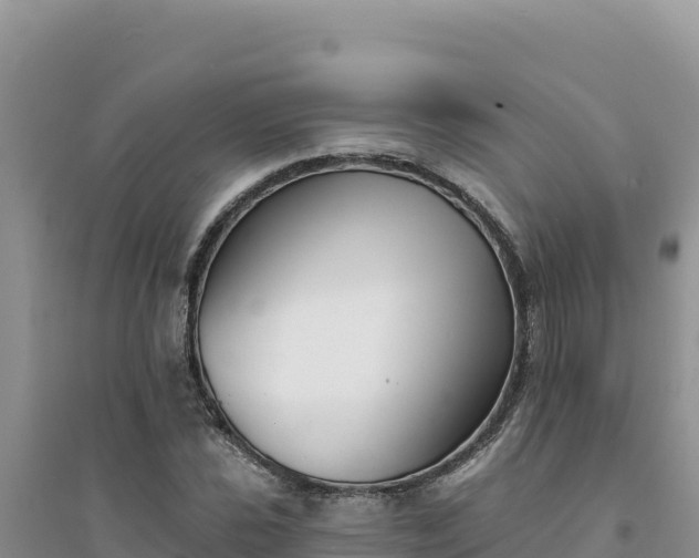 X0000094351021200711091447