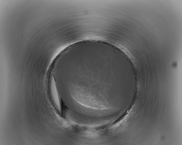 X0000094351022200711091447