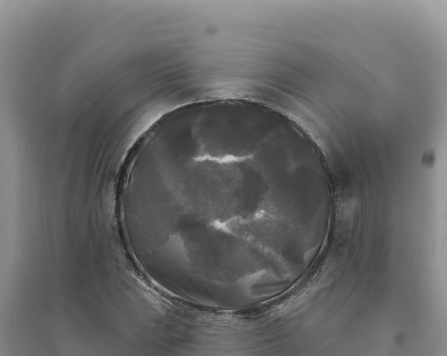 X0000094351023200711091447