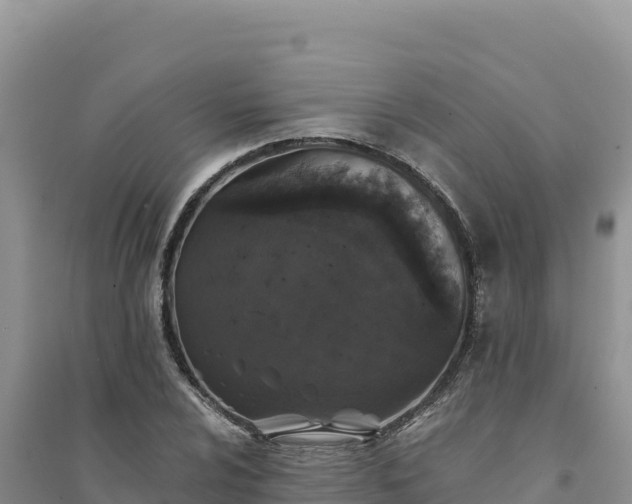 X0000094351024200711091447