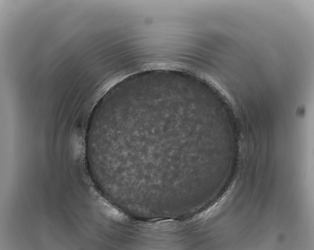 X0000094351025200711091447