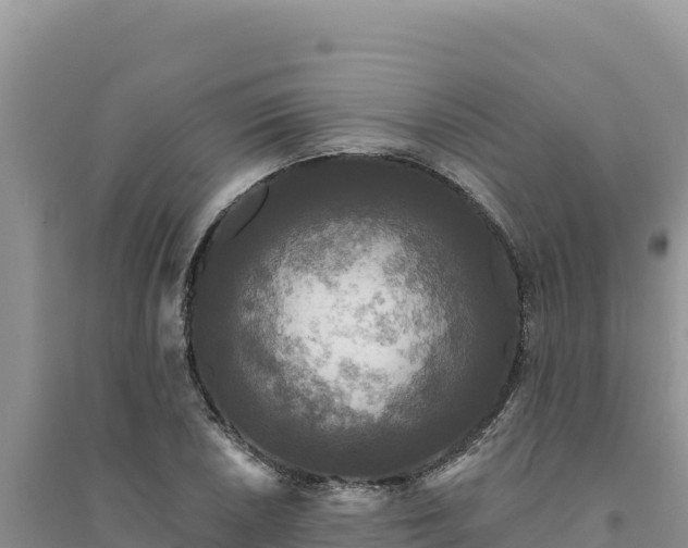 X0000094351026200711091447