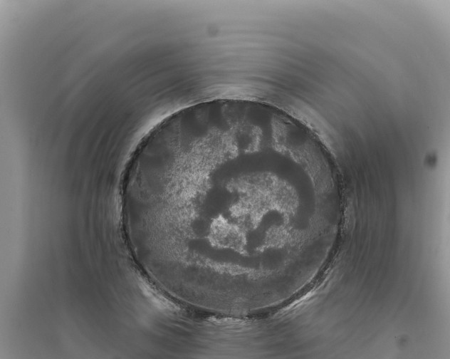 X0000094351027200711091447