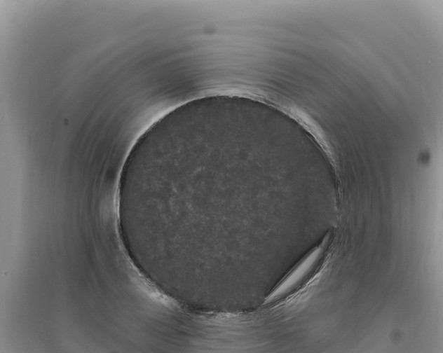 X0000094351028200711091447