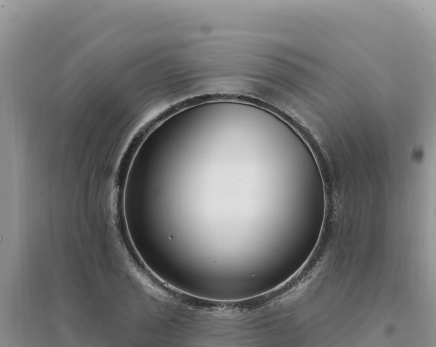 X0000094351029200711091447