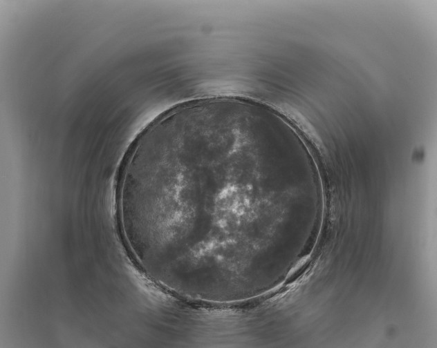 X0000094351031200711091447