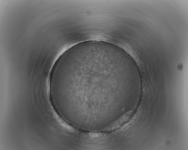 X0000094351032200711091447