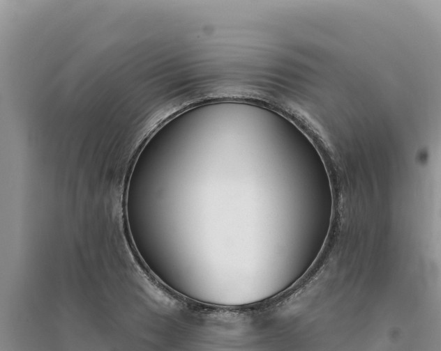 X0000094351033200711091447