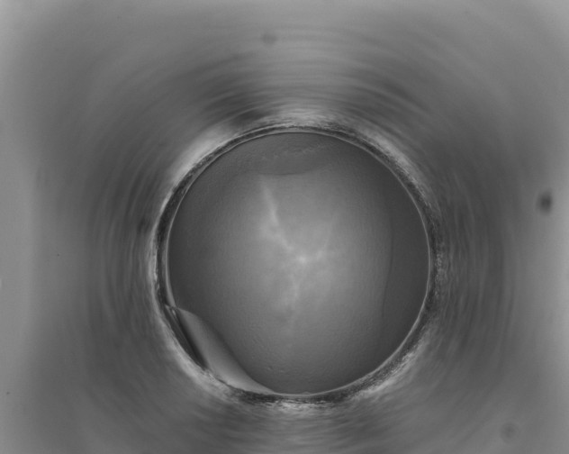 X0000094351034200711091447