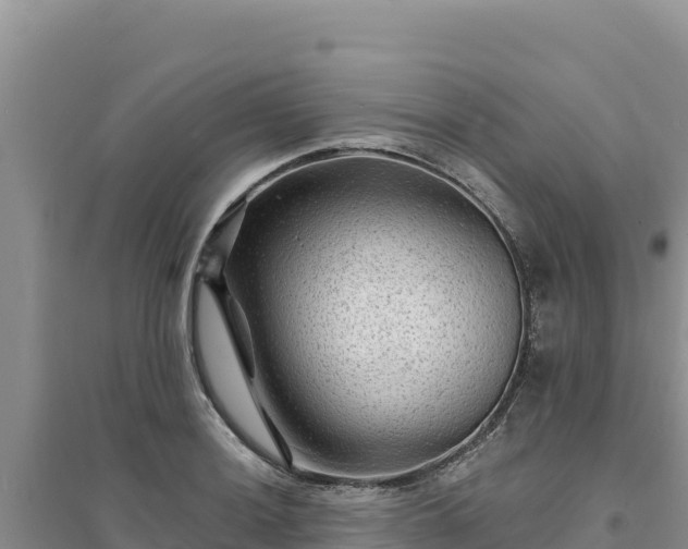 X0000094351036200711091447