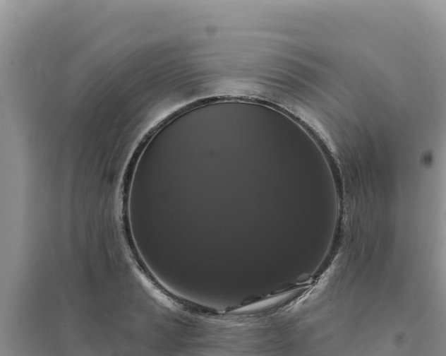 X0000094351037200711091447