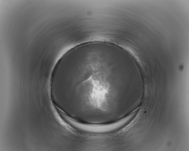 X0000094351038200711091447