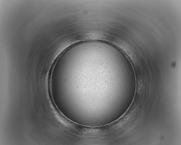 X0000094351039200711091447