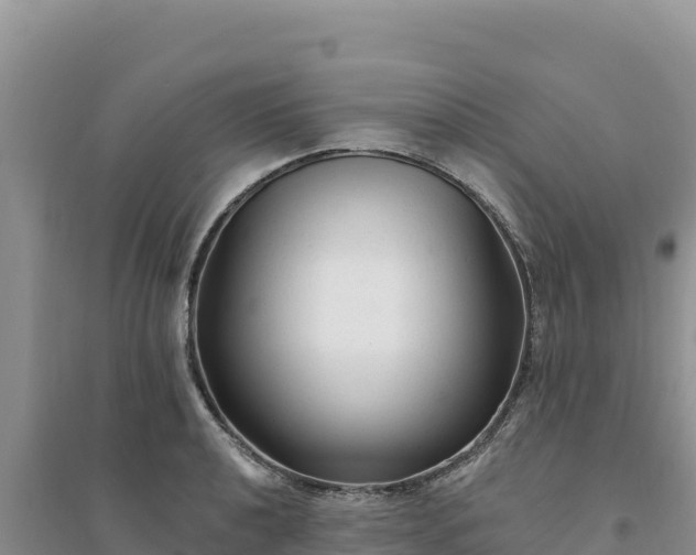 X0000094351040200711091447