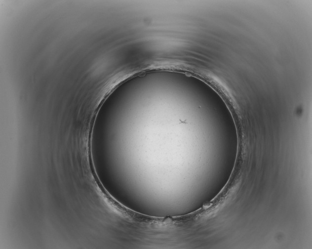 X0000094351041200711091447