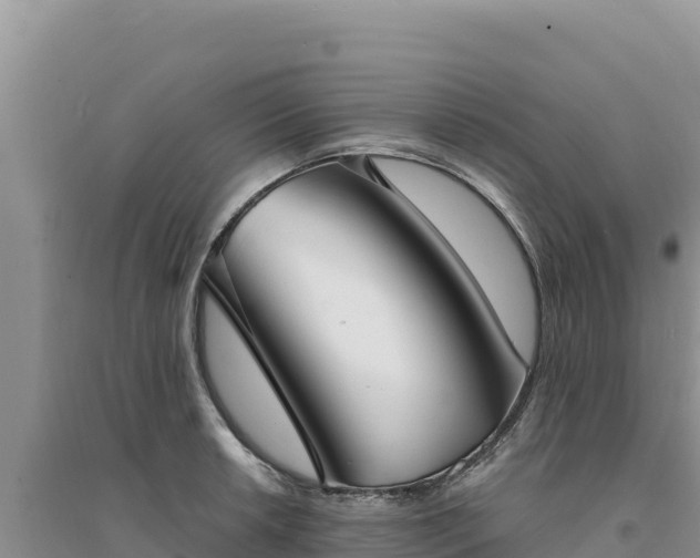 X0000094351042200711091448