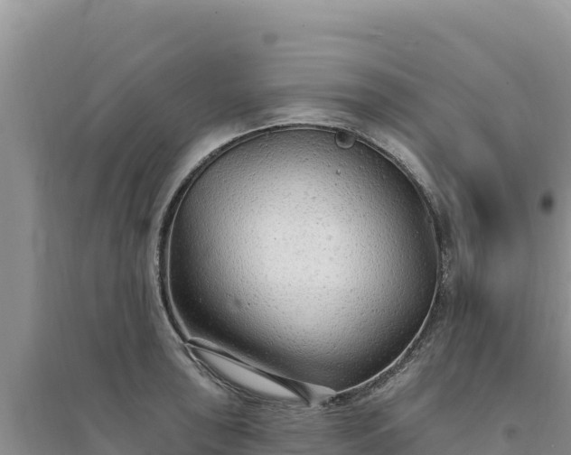 X0000094351043200711091448