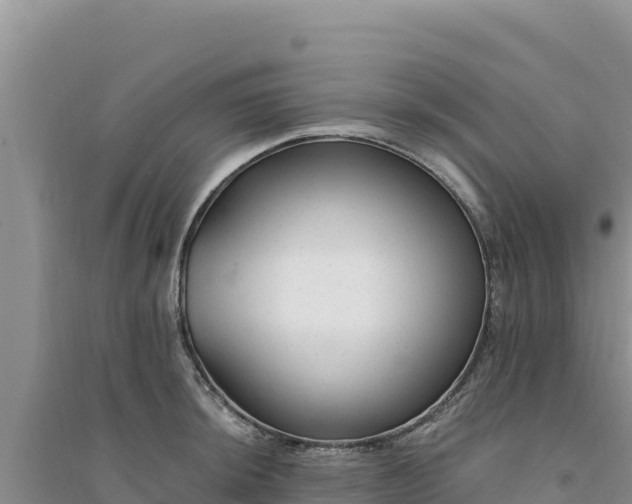 X0000094351044200711091448