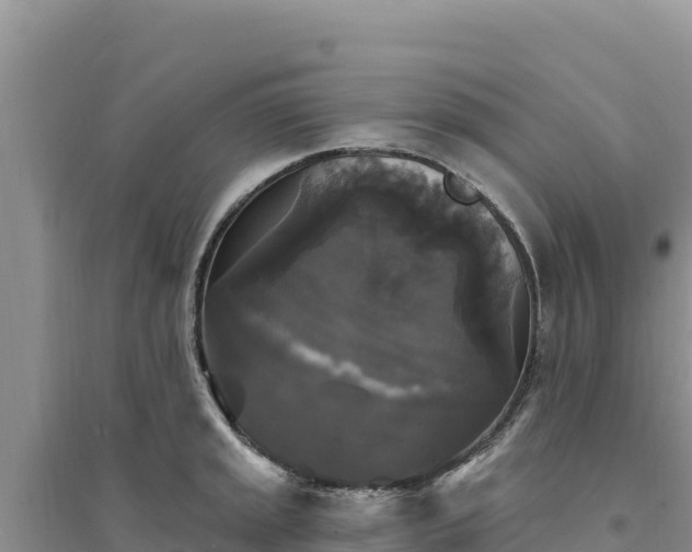 X0000094351045200711091448