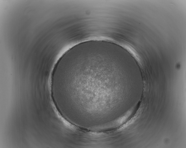 X0000094351046200711091448