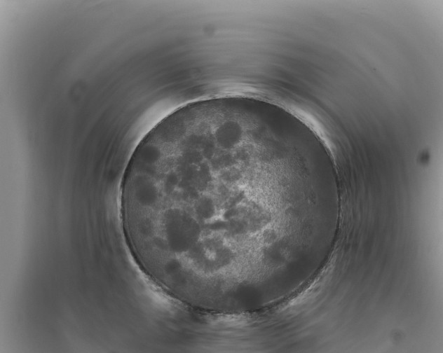 X0000094351047200711091448