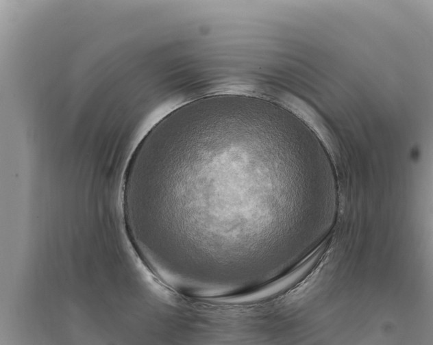 X0000094351050200711091448