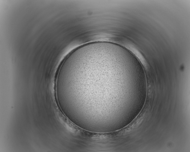 X0000094351051200711091448