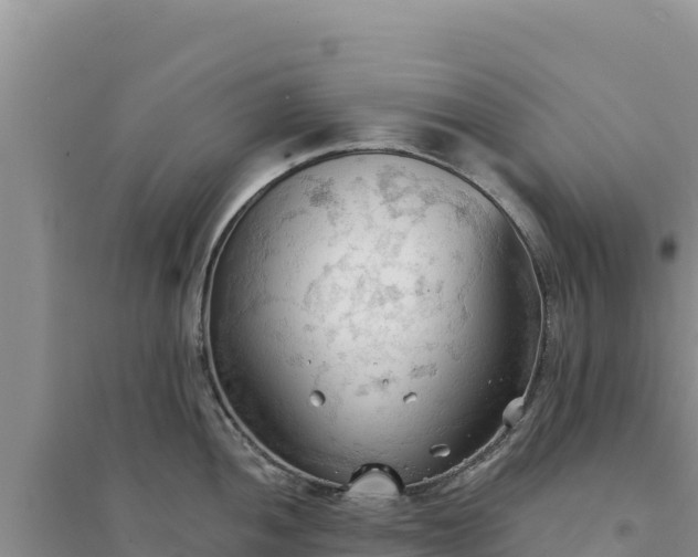 X0000094351052200711091448