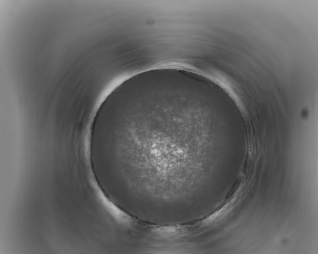 X0000094351054200711091448