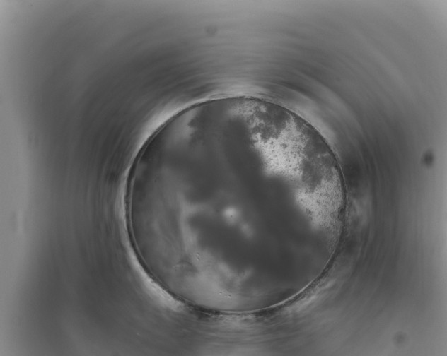 X0000094351055200711091448