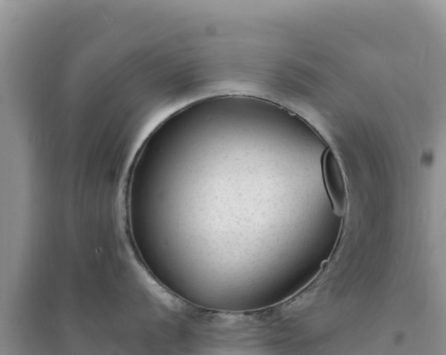 X0000094351056200711091448