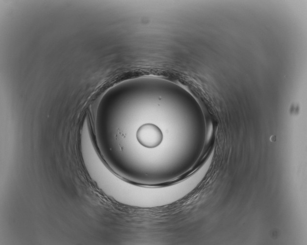 X0000094351057200711091447