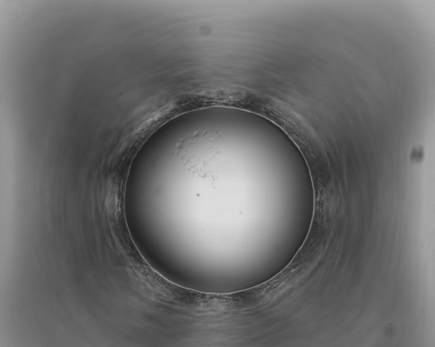 X0000094351058200711091447