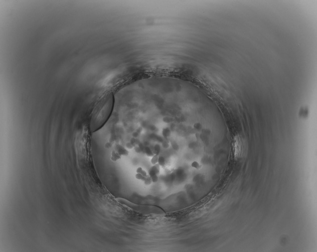 X0000094351059200711091447