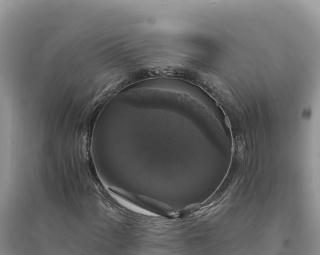 X0000094351060200711091447