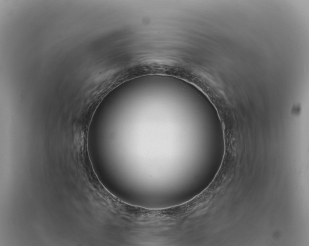 X0000094351061200711091447