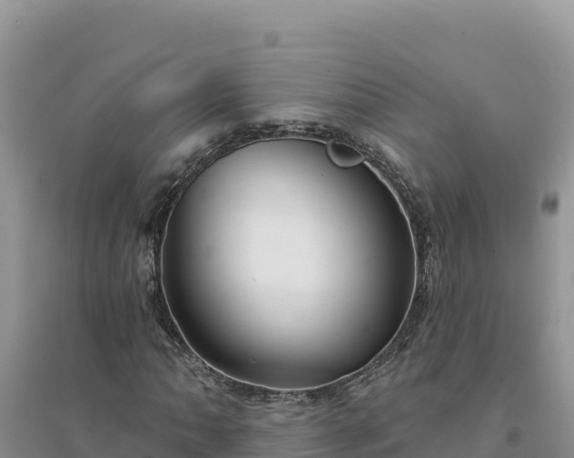 X0000094351062200711091447